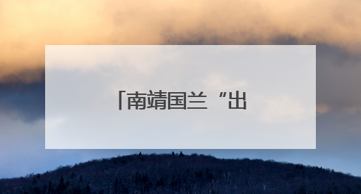 南靖国兰“出海”闯世界