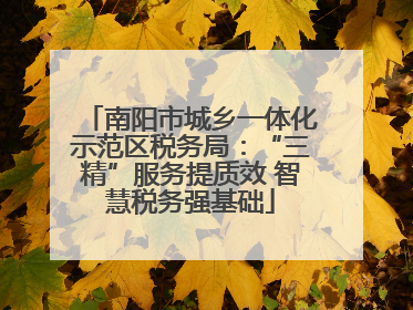 南阳市城乡一体化示范区税务局：“三精”服务提质效 智慧税务强基础
