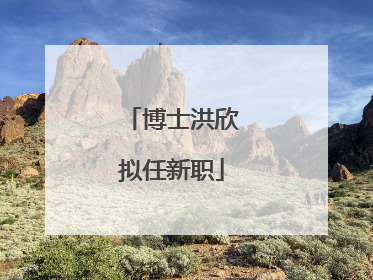 博士洪欣拟任新职