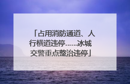 占用消防通道、人行横道违停……冰城交警重点整治违停