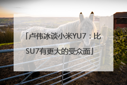 卢伟冰谈小米YU7：比SU7有更大的受众面
