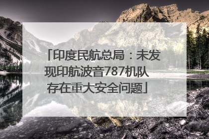 印度民航总局：未发现印航波音787机队存在重大安全问题