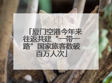 厦门空港今年来往返共建“一带一路”国家旅客数破百万人次
