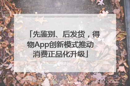 先鉴别、后发货，得物App创新模式推动消费正品化升级
