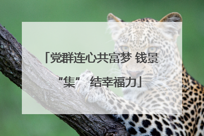 党群连心共富梦 钱景 “集” 结幸福力
