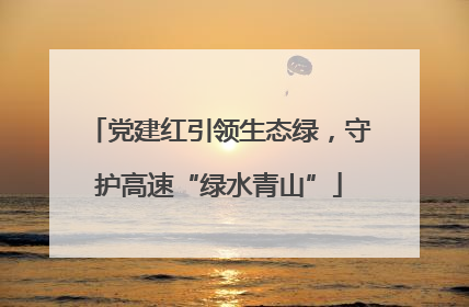 党建红引领生态绿，守护高速“绿水青山”