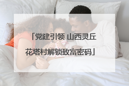 党建引领 山西灵丘花塔村解锁致富密码