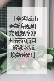 全省城市更新专题研究班观摩郑州示范项目 解锁老城焕新密码