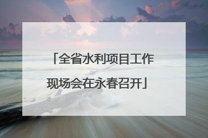 全省水利项目工作现场会在永春召开