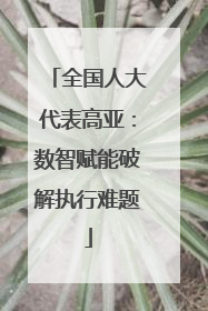 全国人大代表高亚：数智赋能破解执行难题