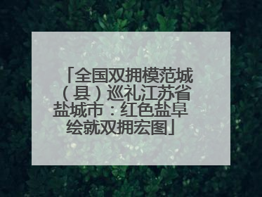 全国双拥模范城（县）巡礼江苏省盐城市：红色盐阜绘就双拥宏图