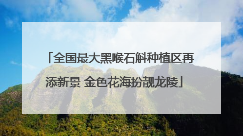 全国最大黑喉石斛种植区再添新景 金色花海扮靓龙陵