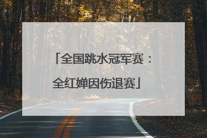 全国跳水冠军赛：全红婵因伤退赛