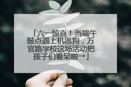六一惊喜！当端午鼓点遇上机器狗，万官路学校这场活动把孩子们看呆啦→