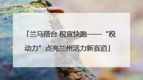 兰马搭台 税宣快跑——“税动力”点亮兰州活力新赛道
