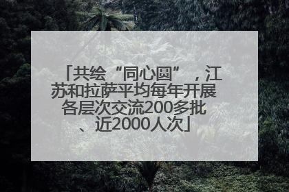 共绘“同心圆”，江苏和拉萨平均每年开展各层次交流200多批、近2000人次