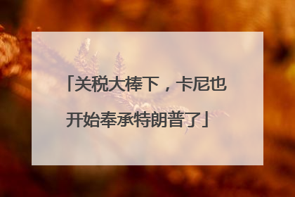 关税大棒下，卡尼也开始奉承特朗普了