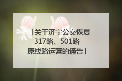 关于济宁公交恢复317路、501路原线路运营的通告