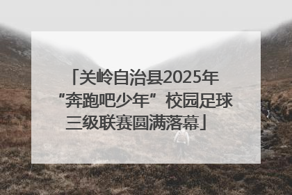 关岭自治县2025年“奔跑吧少年”校园足球三级联赛圆满落幕
