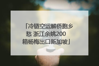 冷链空运解侨胞乡愁 浙江余姚200箱杨梅出口新加坡