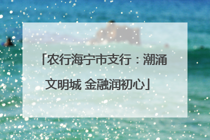 农行海宁市支行：潮涌文明城 金融润初心
