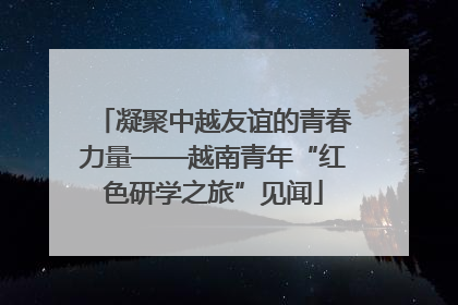 凝聚中越友谊的青春力量——越南青年“红色研学之旅”见闻