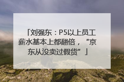 刘强东：P5以上员工薪水基本上都翻倍，“京东从没卖过假货”