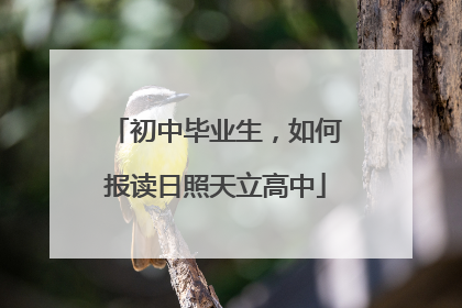 初中毕业生，如何报读日照天立高中