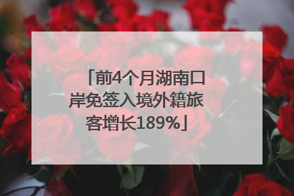 前4个月湖南口岸免签入境外籍旅客增长189%