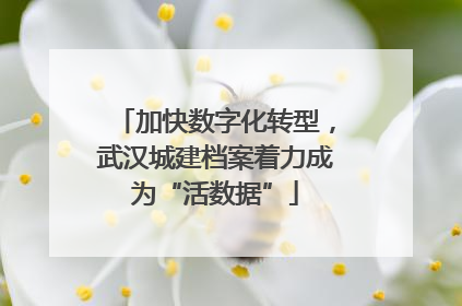 加快数字化转型，武汉城建档案着力成为“活数据”