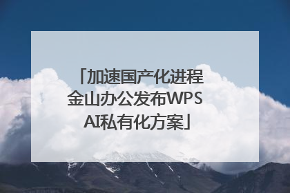 加速国产化进程 金山办公发布WPS AI私有化方案