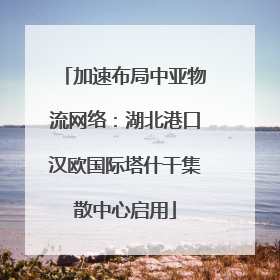 加速布局中亚物流网络：湖北港口汉欧国际塔什干集散中心启用