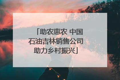 助农惠农 中国石油吉林销售公司助力乡村振兴