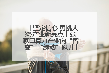 坚定信心 勇挑大梁·产业新亮点丨张家口算力产业向“智变”“绿动”跃升