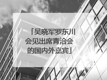 吴晓军罗东川会见出席青洽会的国内外嘉宾