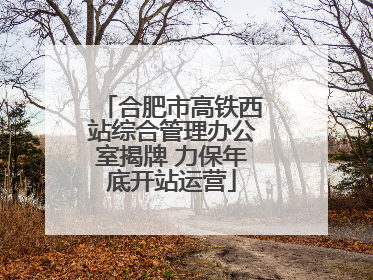 合肥市高铁西站综合管理办公室揭牌 力保年底开站运营