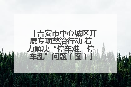 吉安市中心城区开展专项整治行动 着力解决“停车难、停车乱”问题（图）