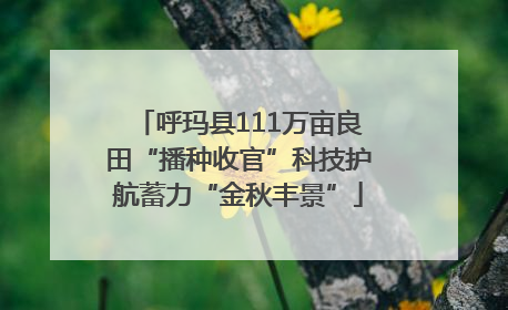 呼玛县111万亩良田“播种收官”科技护航蓄力“金秋丰景”