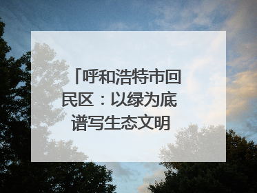 呼和浩特市回民区：以绿为底 谱写生态文明建设新篇章