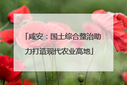 咸安：国土综合整治助力打造现代农业高地