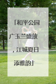 和平公园广玉兰盛放，江城夏日添雅韵