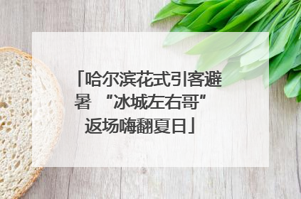 哈尔滨花式引客避暑 “冰城左右哥”返场嗨翻夏日
