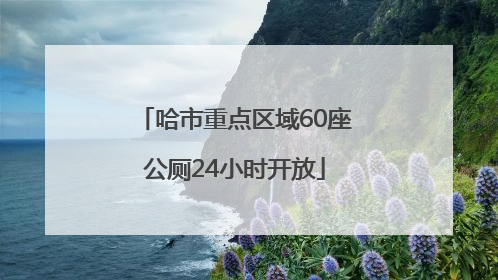 哈市重点区域60座公厕24小时开放