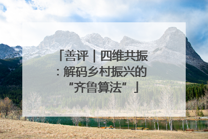 善评｜四维共振：解码乡村振兴的“齐鲁算法”
