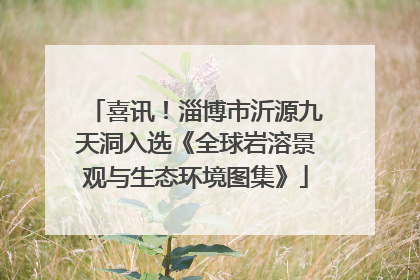 喜讯！淄博市沂源九天洞入选《全球岩溶景观与生态环境图集》