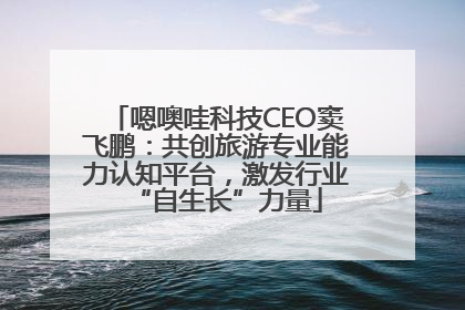 嗯噢哇科技CEO窦飞鹏：共创旅游专业能力认知平台，激发行业“自生长”力量