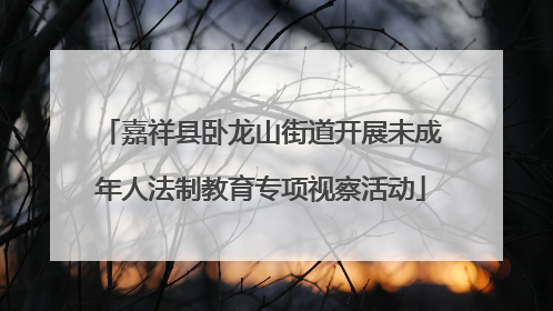 嘉祥县卧龙山街道开展未成年人法制教育专项视察活动