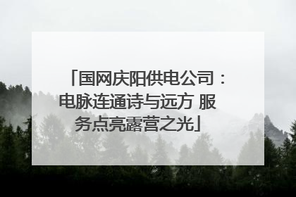 国网庆阳供电公司：电脉连通诗与远方 服务点亮露营之光
