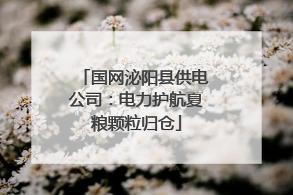国网泌阳县供电公司：电力护航夏粮颗粒归仓