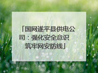 国网遂平县供电公司：强化安全意识 筑牢网安防线